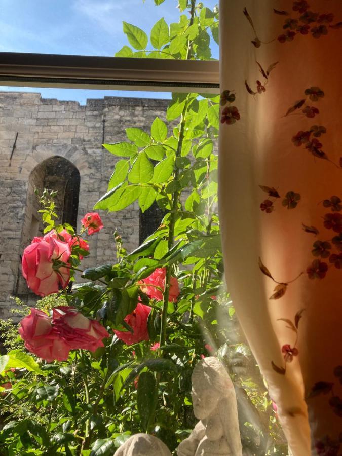 Cocooning Avignon Hotell Eksteriør bilde