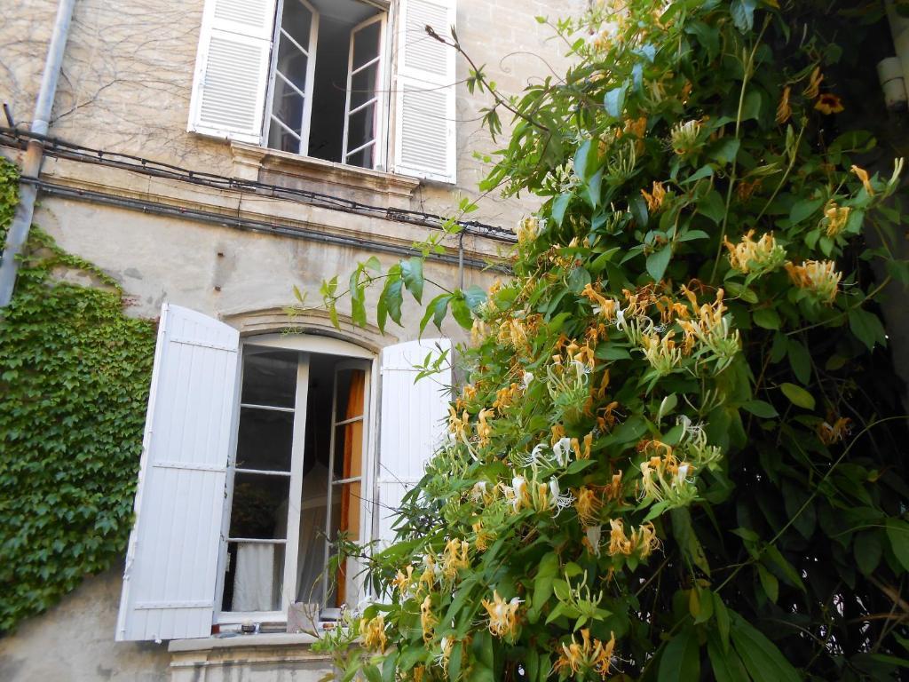Cocooning Avignon Hotell Eksteriør bilde